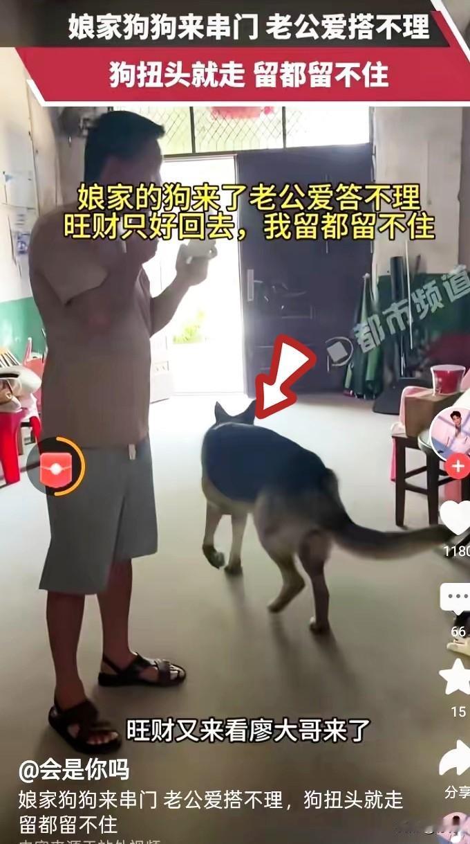 湖南一个农村妇女念叨，自己嫁在隔壁村，每次娘家的狗跑过来玩，只要她不在家，丈夫就