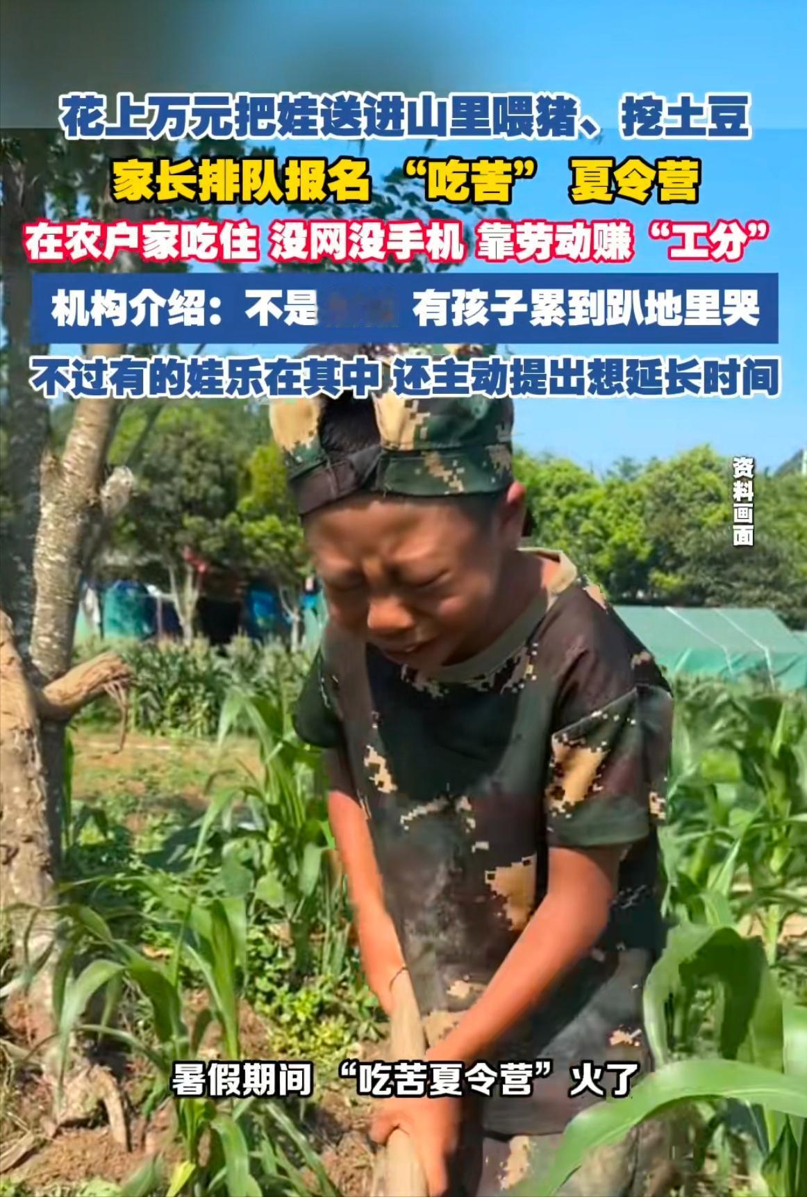 “我把娇生惯养的城里娃，骗到农村去体验劳动。”这不是段子，而是今年暑假不少家长的