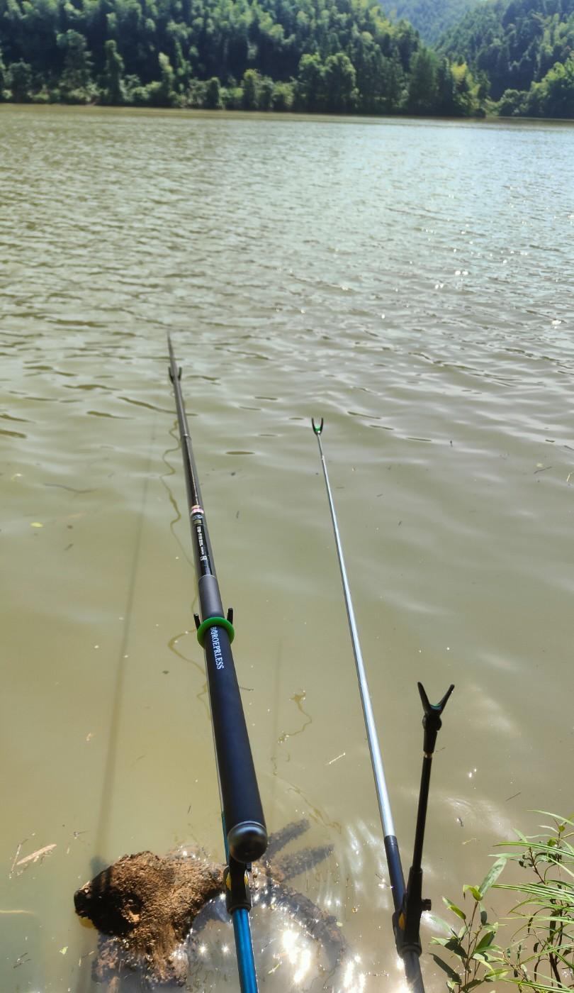 你还在用夏季那套调漂法？难怪冬天浮漂像定海神针。最新钓场数据打了所有“灵敏至