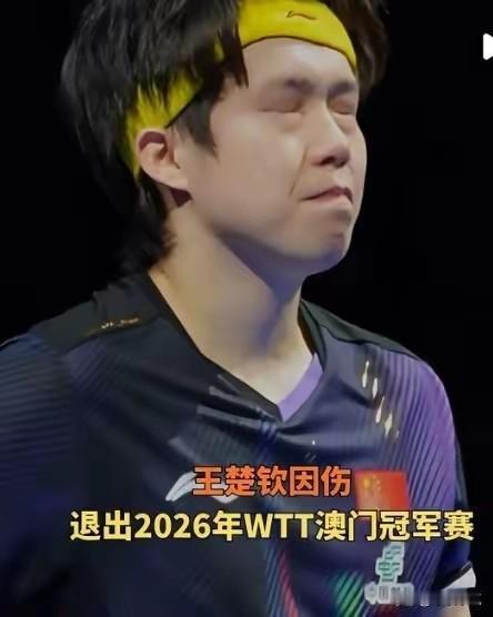 王楚钦为什么这么难？央视记者常新宇给出了最贴切的答案：舆论环境太差了！王楚钦