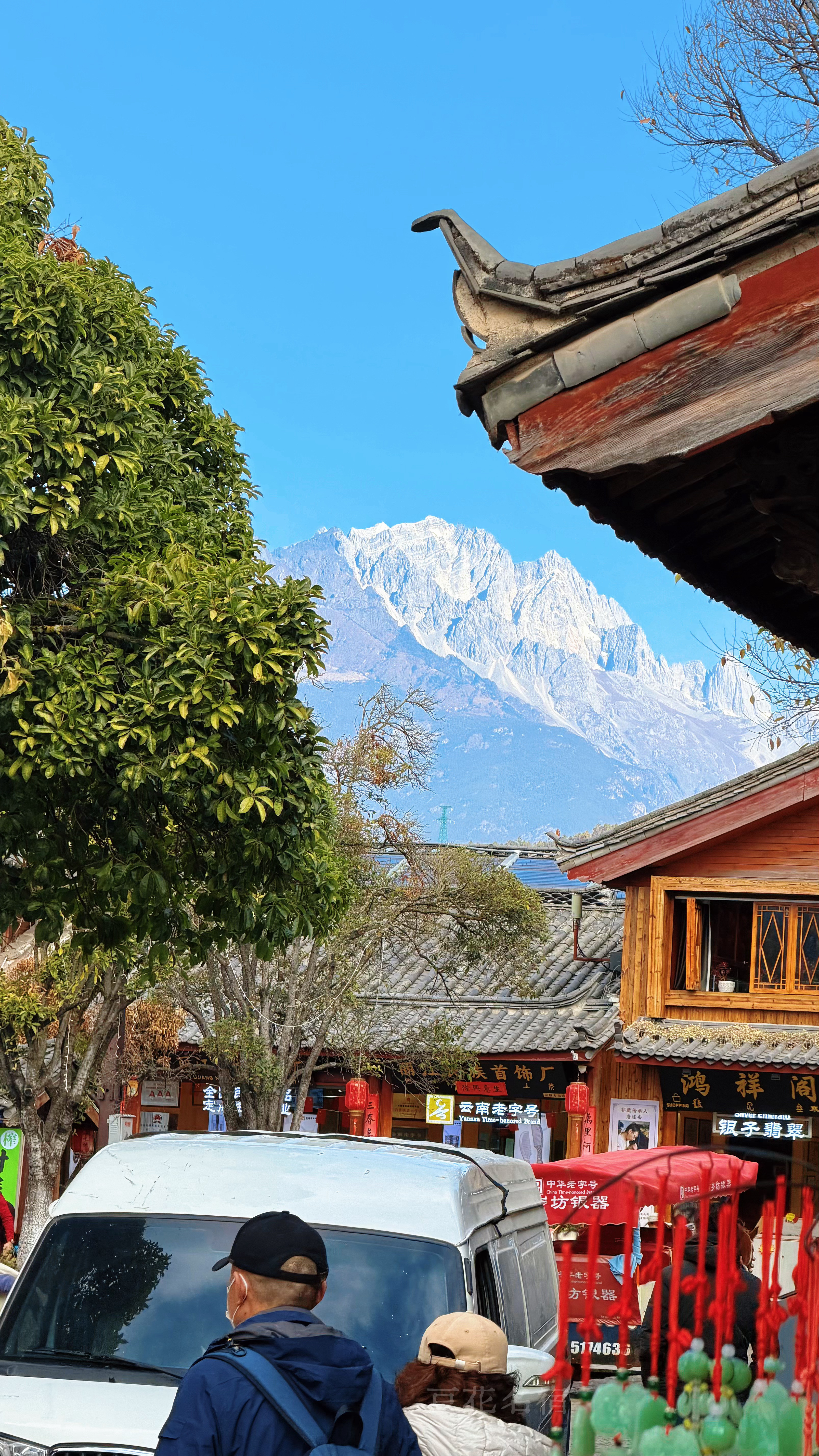 春天的丽江真的太治愈了！机票半价、人少景美，我在丽江等你们！今天专门给你们分享熟