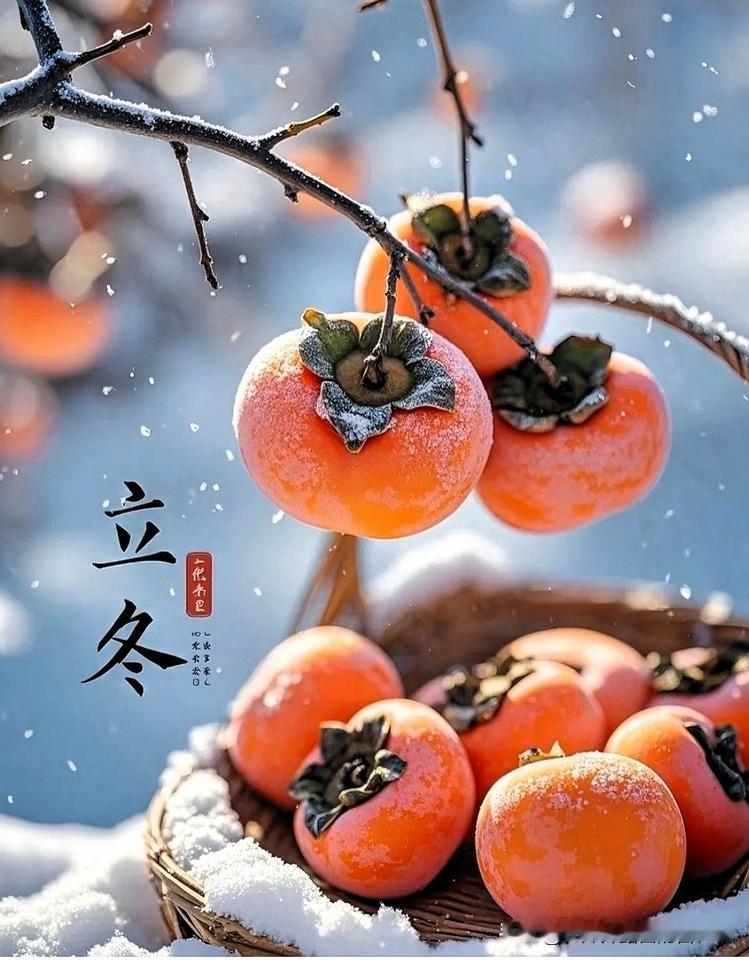 家人们注意啦！2025年立冬交接时间敲定——11月7日12时03分48秒，农历九