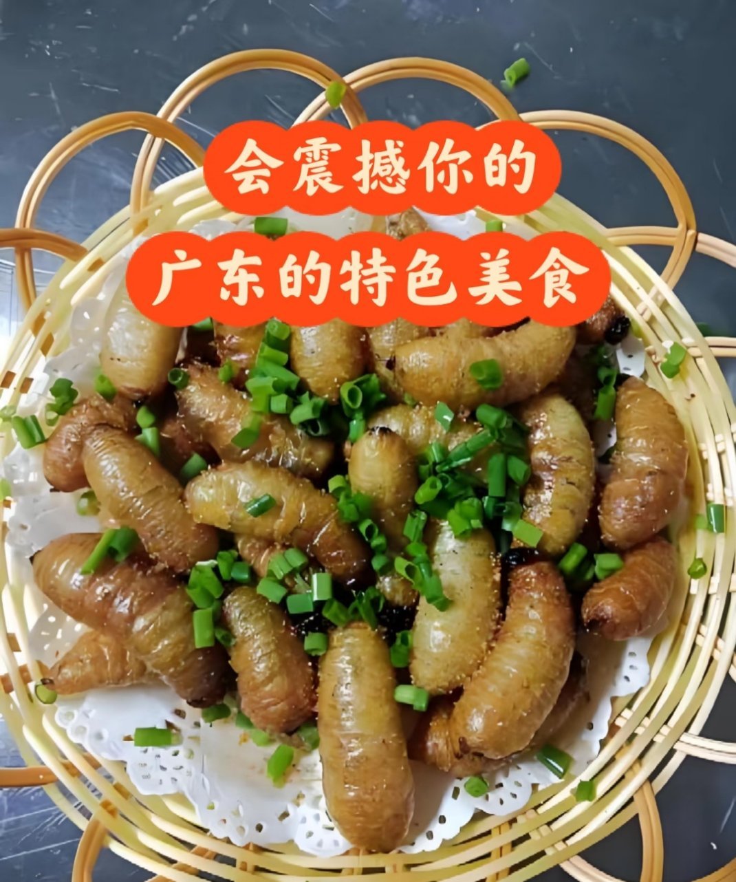 广东特色硬菜很正式的向大家介绍我们大广东的特色美食，个个都价值不菲的，依次是蚕蛹