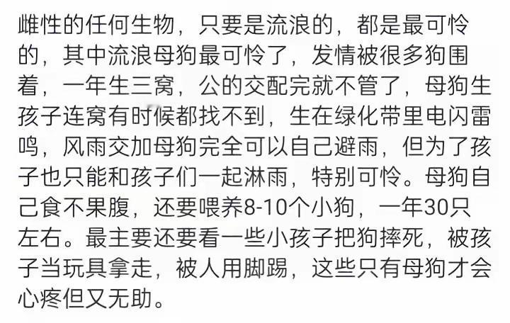 谁说子非鱼安知鱼之乐的有人不是狗，却能感知到任何雌性生物的苦悲，尤其是流浪