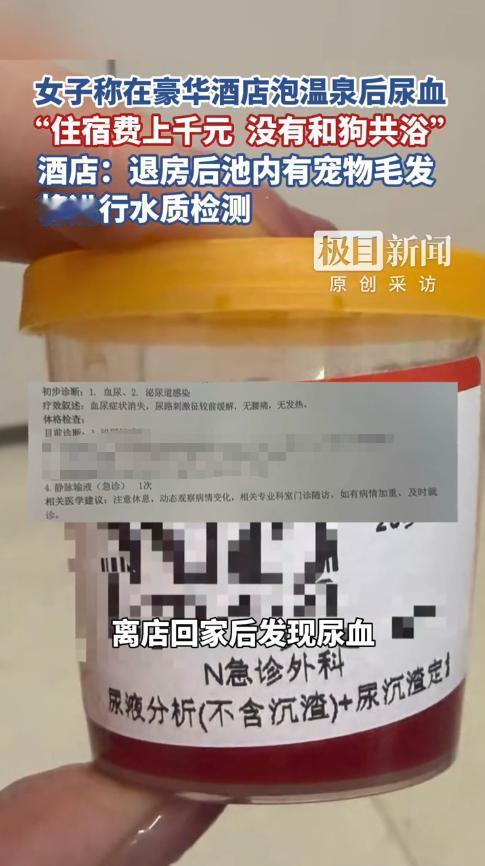 “严查到底！”近日，四川成都，一女子花费千元，带着狗住进一家豪华酒店，可女子在泡