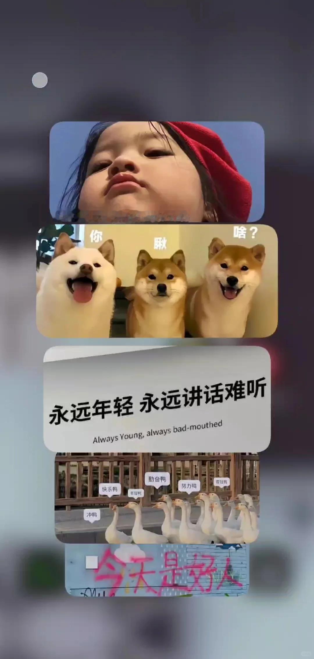OPPO是蕞流畅的手机系统吗？现在敢和苹果iOS比流畅度的手机系统，OPPO