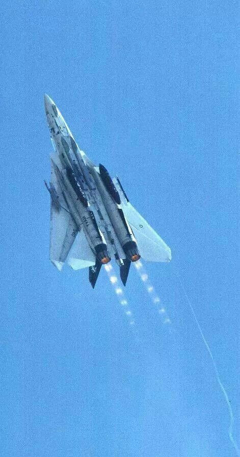 猫宁。F-14大猫性感机腹​​​