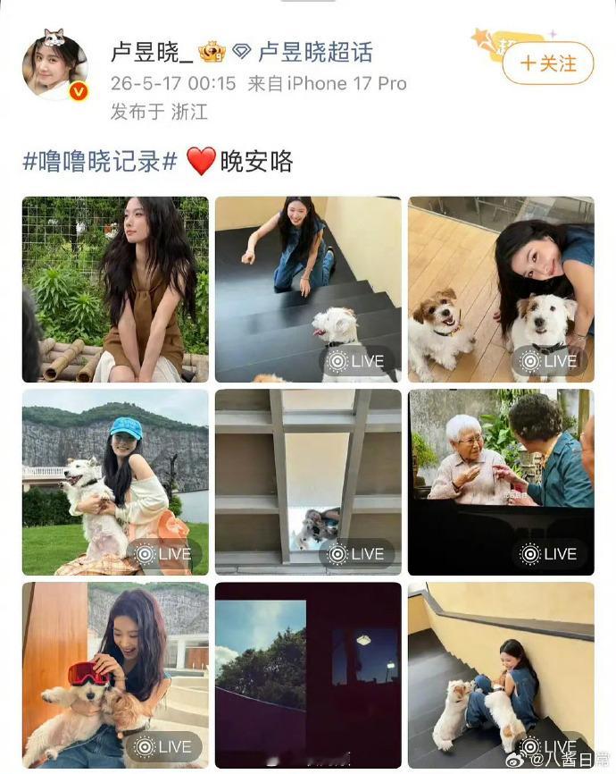 《给阿嬷的情书》确实好看，但不应该在影院盗摄、摄屏，也不应该去看盗版，特别是明星