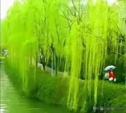 上联：江河湖泊汇沧海，下联：椴桦松柏树森林。横批：自然之力[吐舌头眯眼睛笑][赞]平