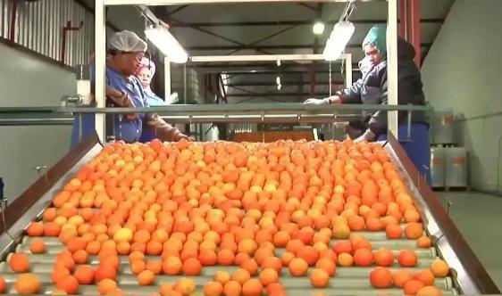 非洲的货要在中国卖疯了，不是因为价格便宜，也不是因为质量好，而是因为中国对非