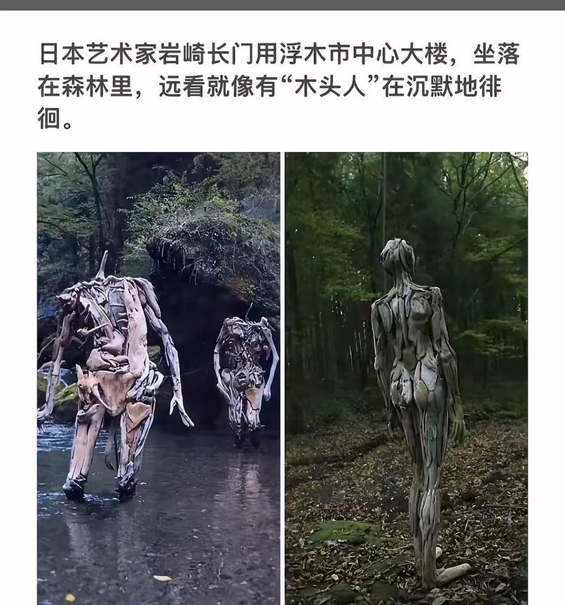日本森林中的“木头人”雕塑，静谧而神秘。
