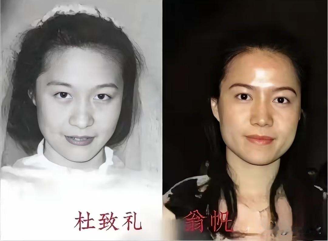 突然发现杨先生的两任妻子真的很像并不是长相，而是以下三点：第一，先生与先后