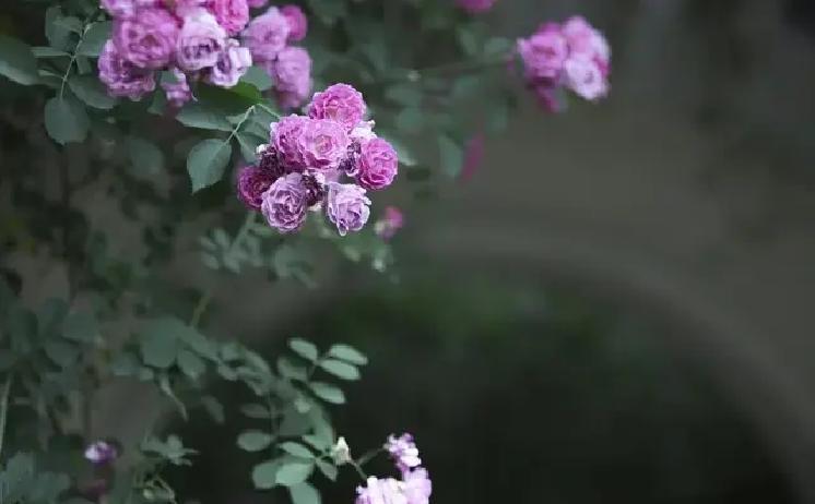 男人想走的时候，往往早就开始了那三步，只是你当时没看清。先是慢慢变冷淡，回消