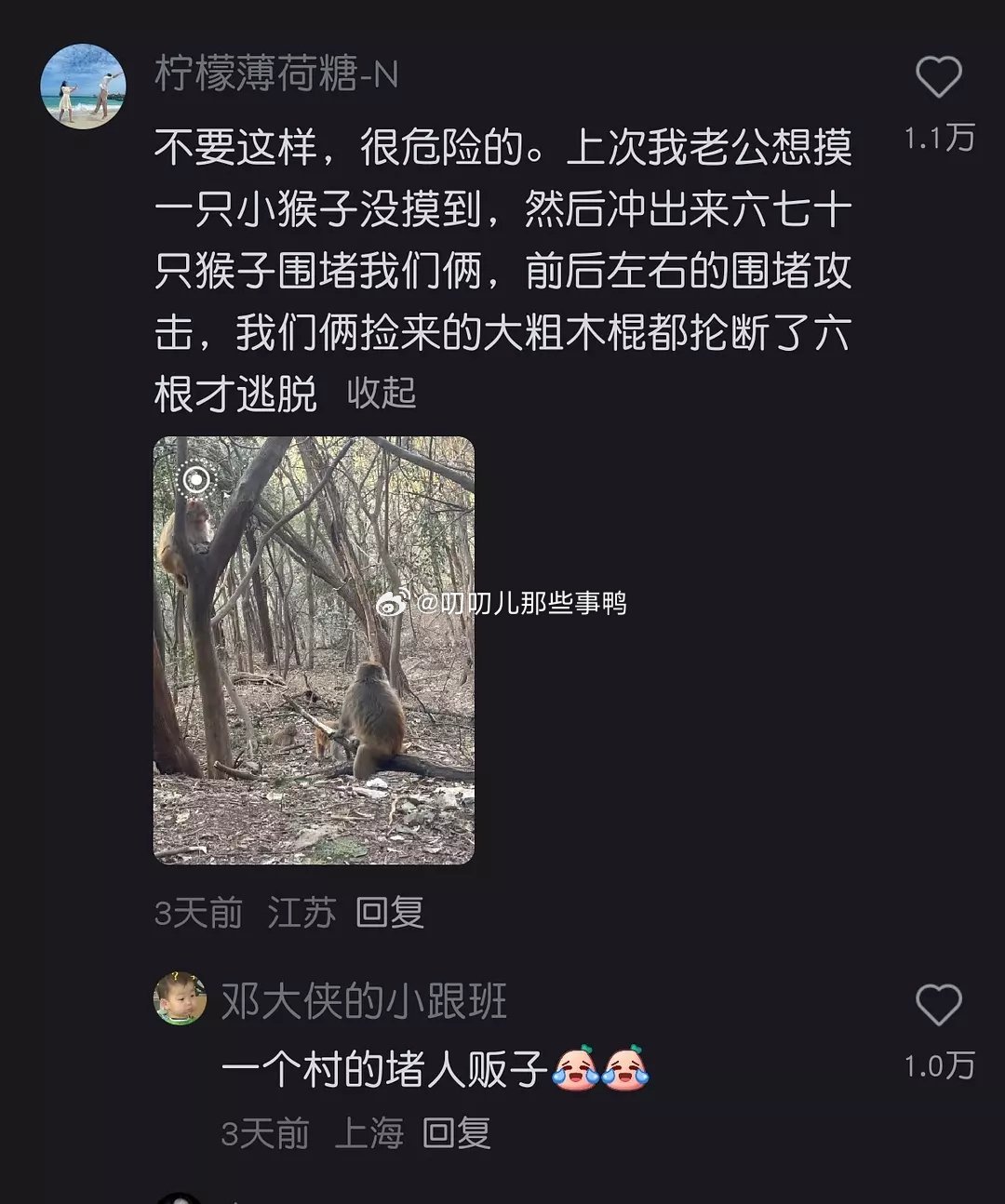 当你摸了摸小猴，猴子们会为你做什么？🐒🐒​​​