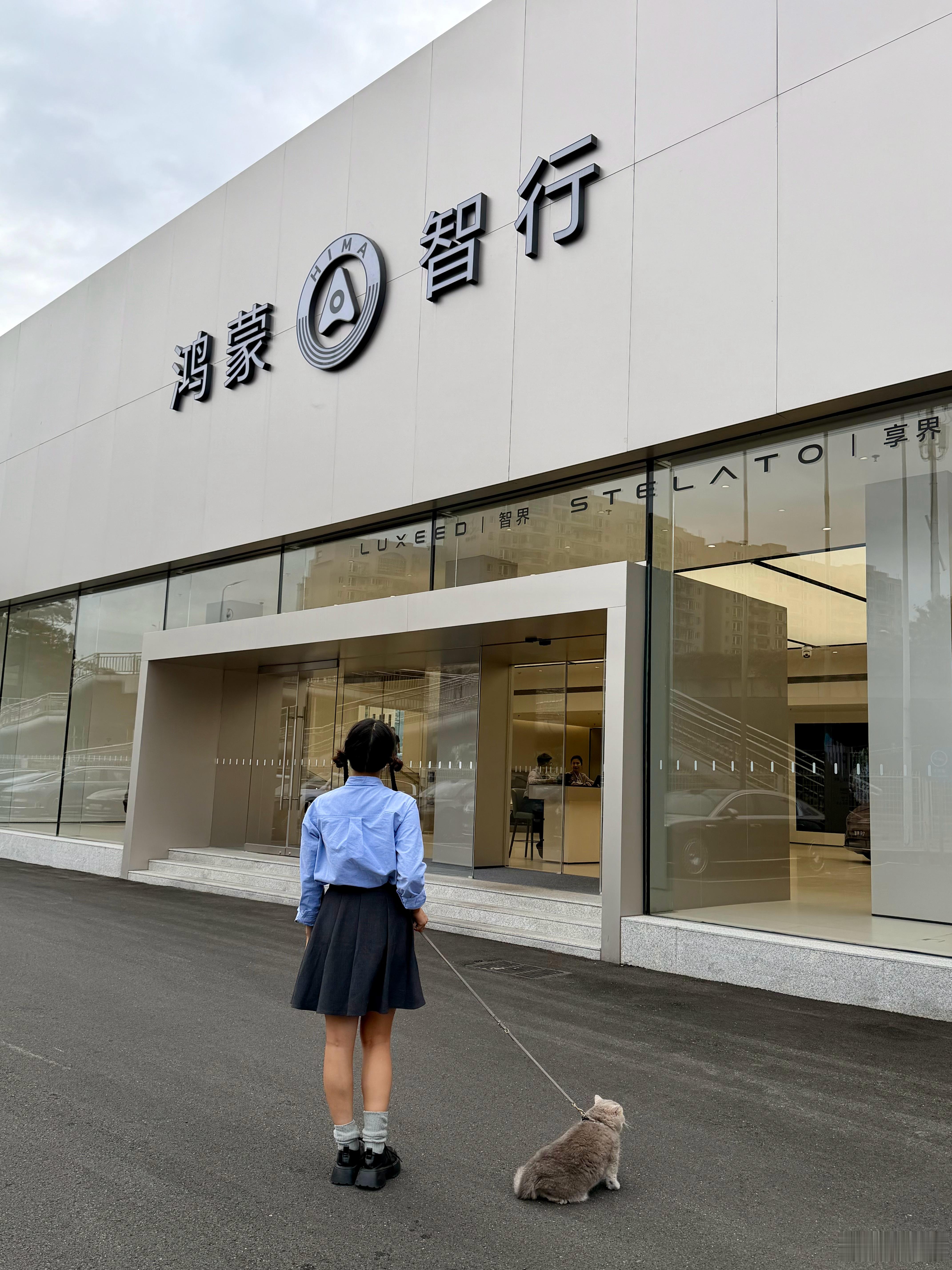 昨天跟小猫咪去鸿蒙智行看车了,哪款适合我们家妹妹?