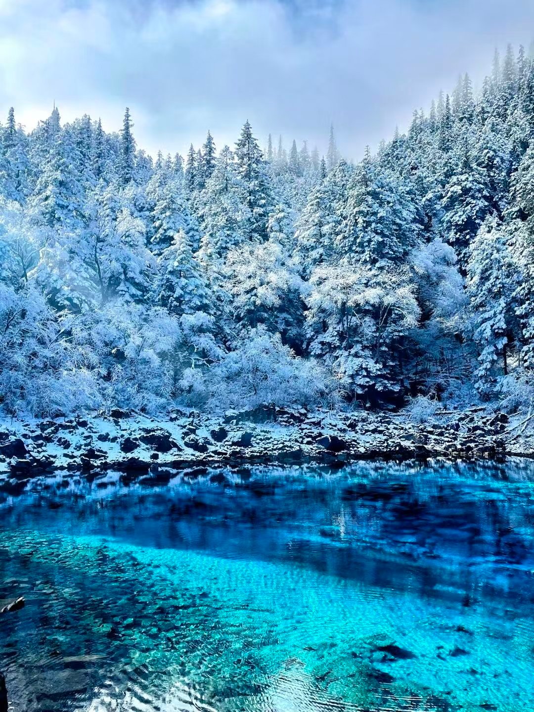 中国秋冬无滤镜神级景点秋冬的九寨沟，真的就是一步一景的存在，每一个水池，每一棵