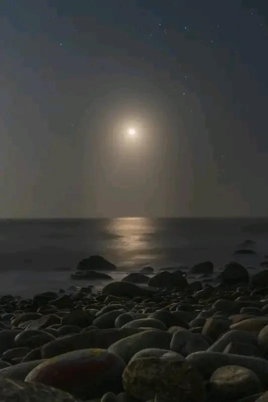 霸总不追出国的白月光，这事儿其实很有趣。在霸总文里，通常不是这么简单。也许霸总不
