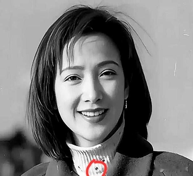 何晴病重那几年，把人情冷暖演了个透。前任刘威没动静，前夫许亚军也哑火了，平时那