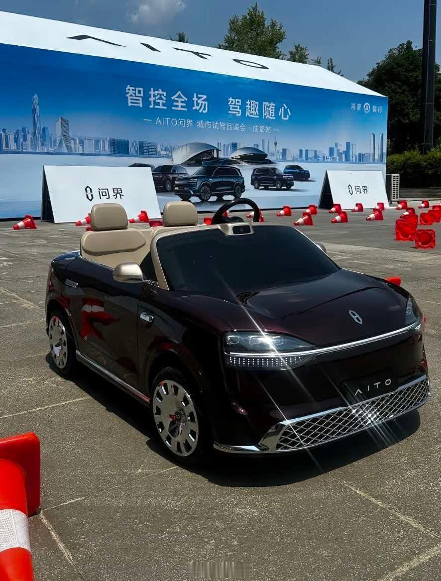 是这个儿童车，2万多钱呢，问界 ​