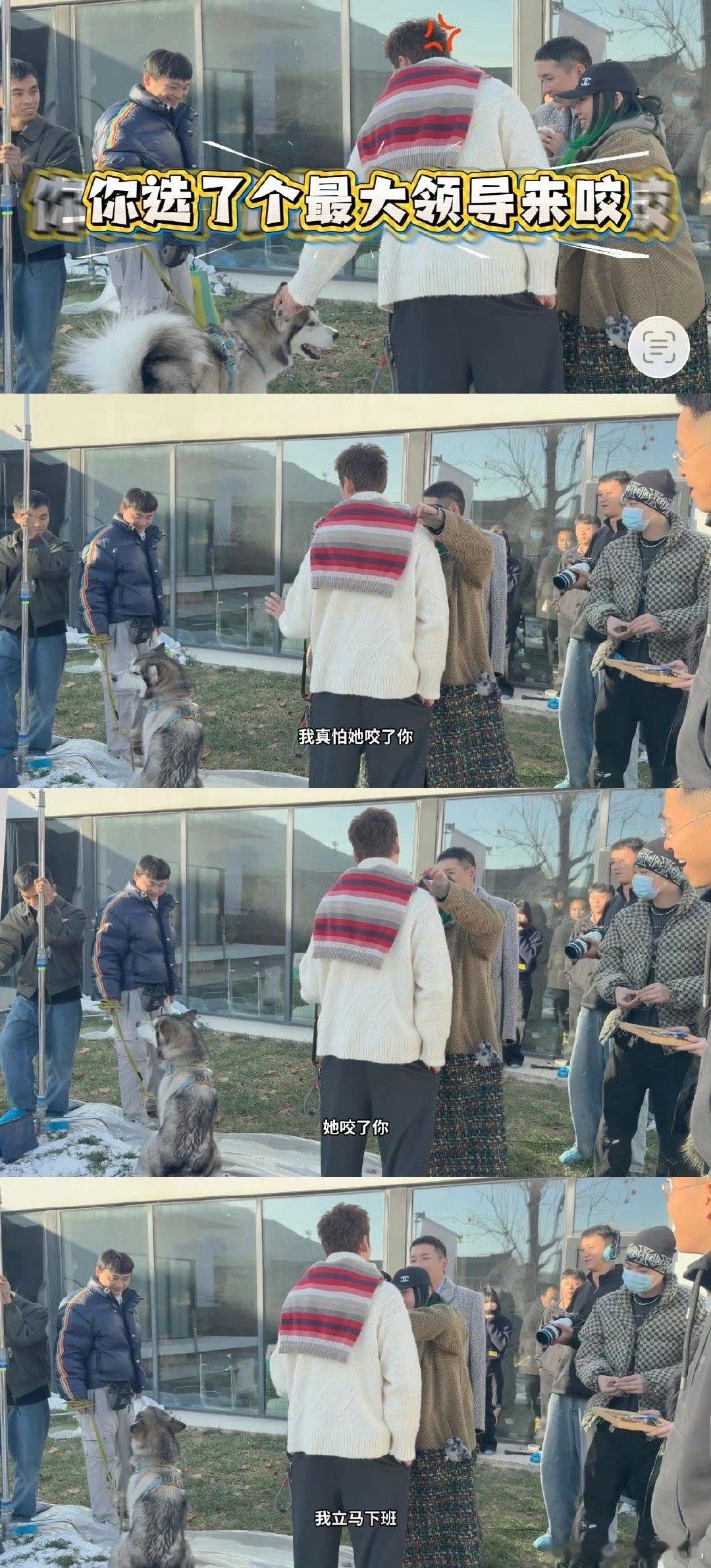 陈伟霆它咬了你我立马下班谁还没看陈伟霆的爆笑花絮！一句“它咬了你我立马下班”