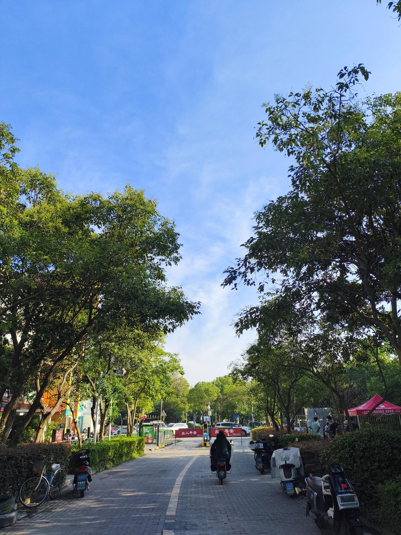 今年南京夏天这天气，简直是“戏精”上身！黄梅天碰强台风，台风走了高温无缝衔接，接