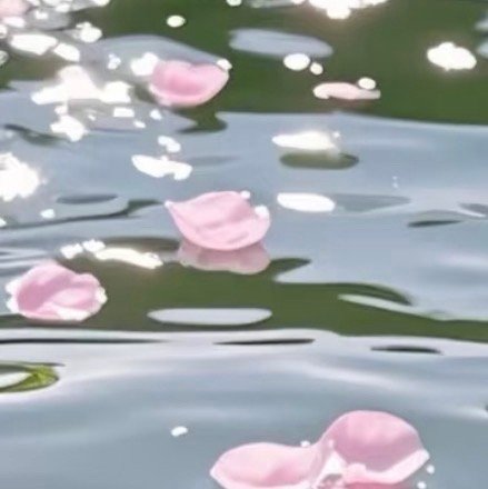 0000梅花种植方法：1.阳光充足：梅花喜欢温暖、阳光充足的环境，在栽培植株