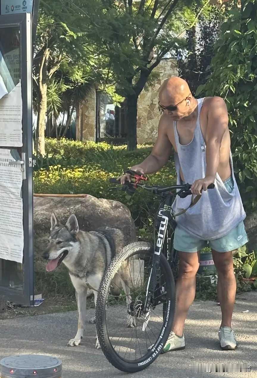 乐嘉这是什么穿衣风格，看起来真的太惹眼了，乐嘉的事业曾经也是风生水起，可惜因为太