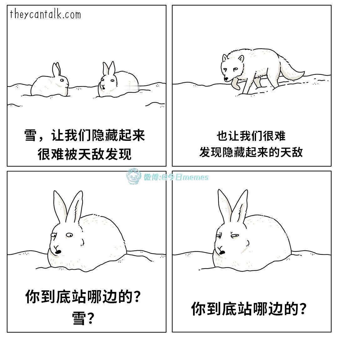 做的两门生意（theycantalk）今日meme今日memes