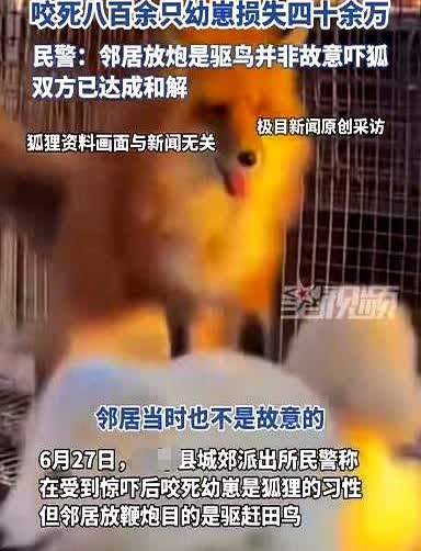 悲剧还是发生了！近日，内蒙古巴彦淖尔，一男子在养殖场里养了很多只狐狸，谁