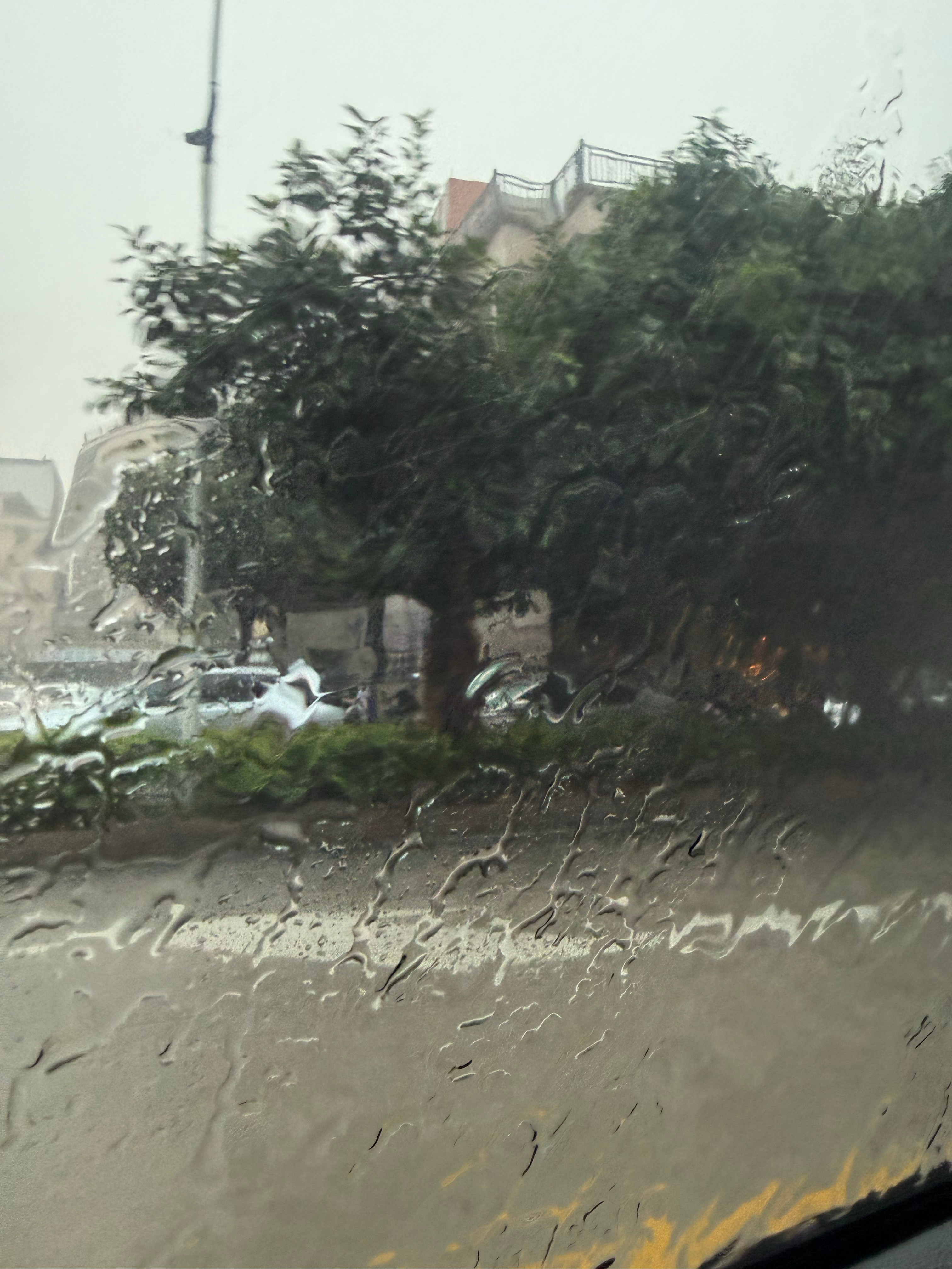 今年咋了，广东又台风了[笑着哭]巨之暴雨​​​