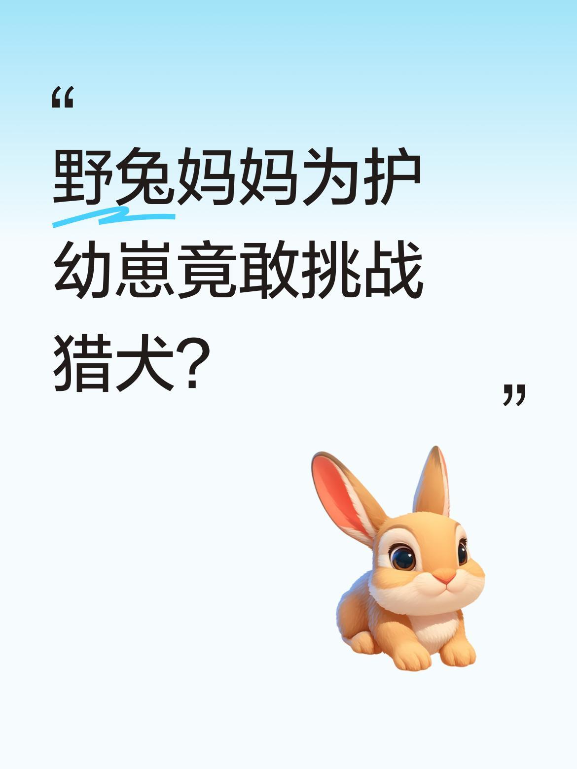 野兔妈妈为护幼崽竟敢挑战猎犬？这段视频记录了令人惊叹的一幕：野兔妈妈为保护洞穴
