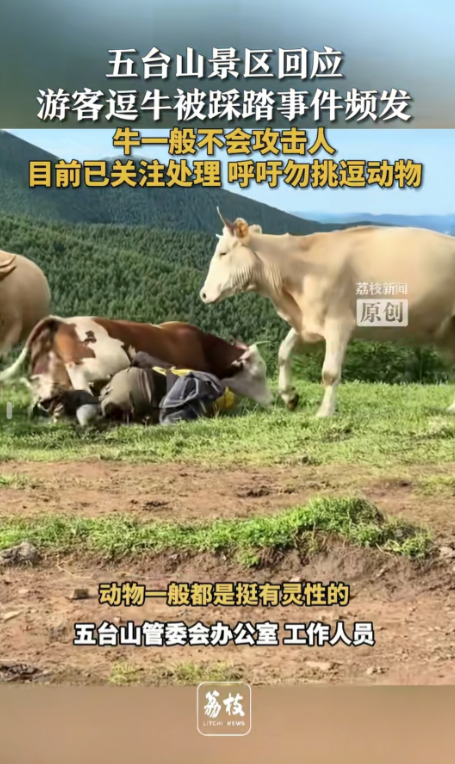 多行不义必自毙，报应果然来的这么快兄弟们，刚刚刷到一则新闻，一伙游客徒步五台山