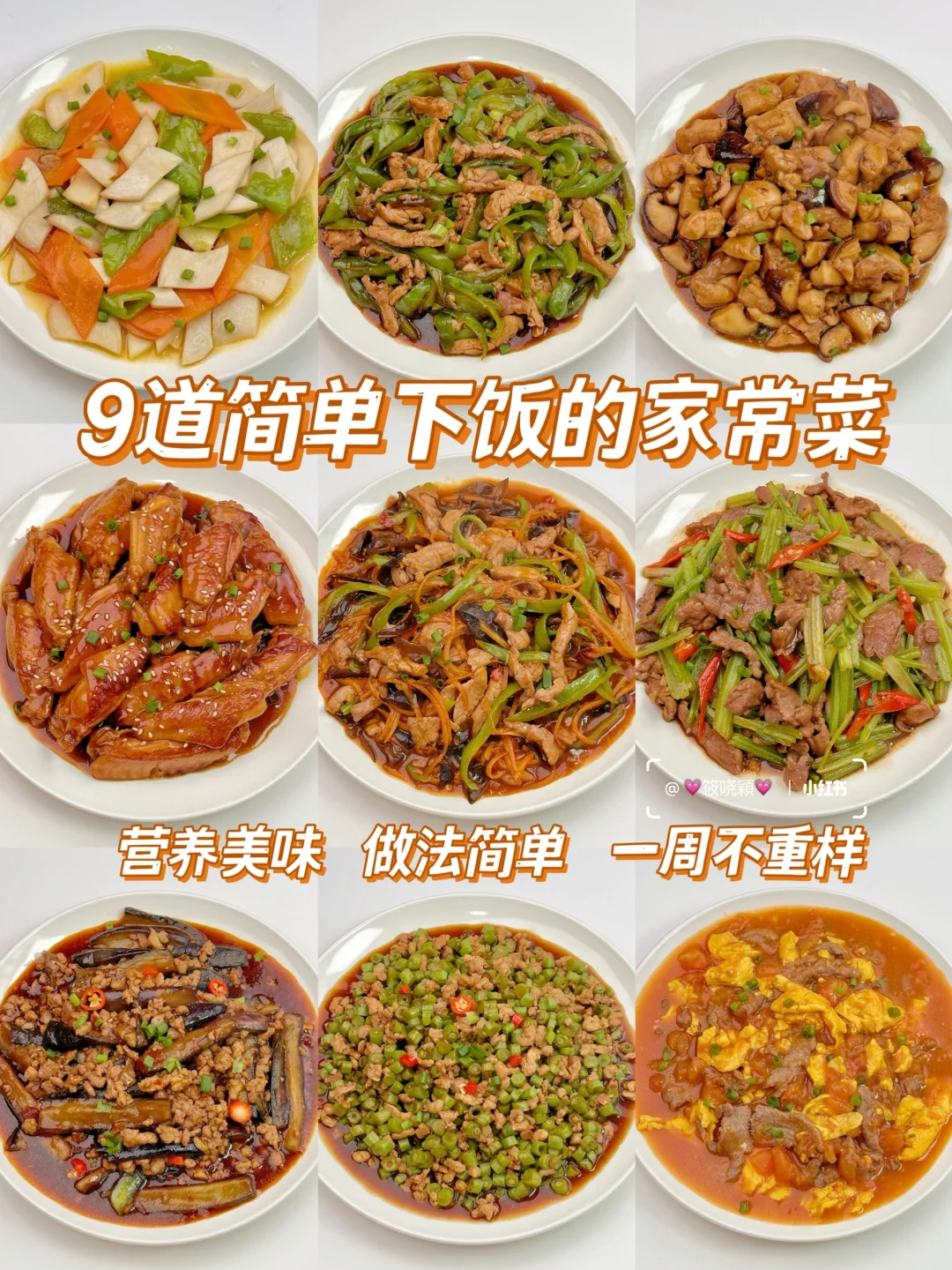 超简单‼️9道巨好吃的下饭菜✨美味不重样