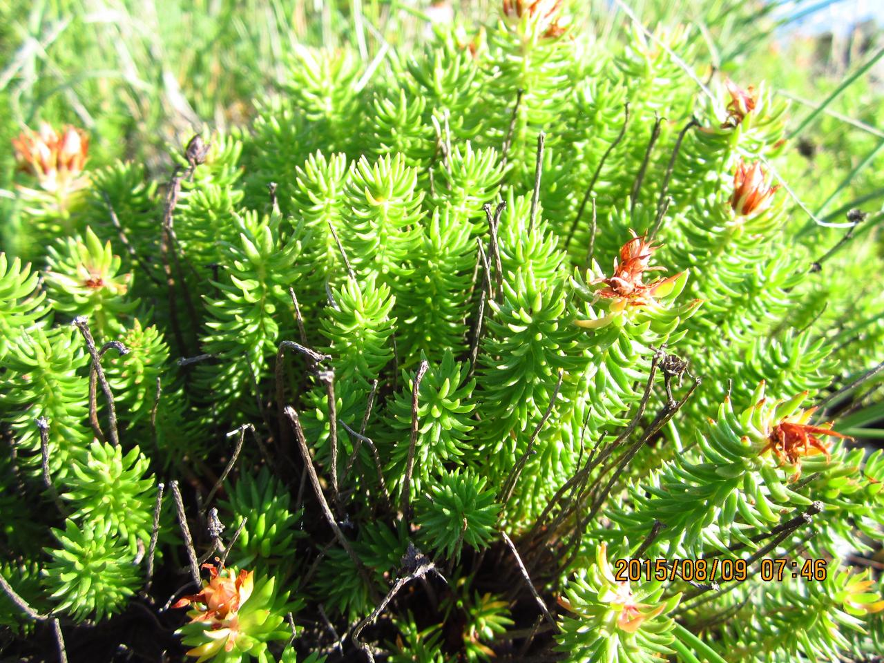 爱波茨坦档案公开，很多人三观都碎掉了，甚至有点无法接受，无法理解为什么他们要这么