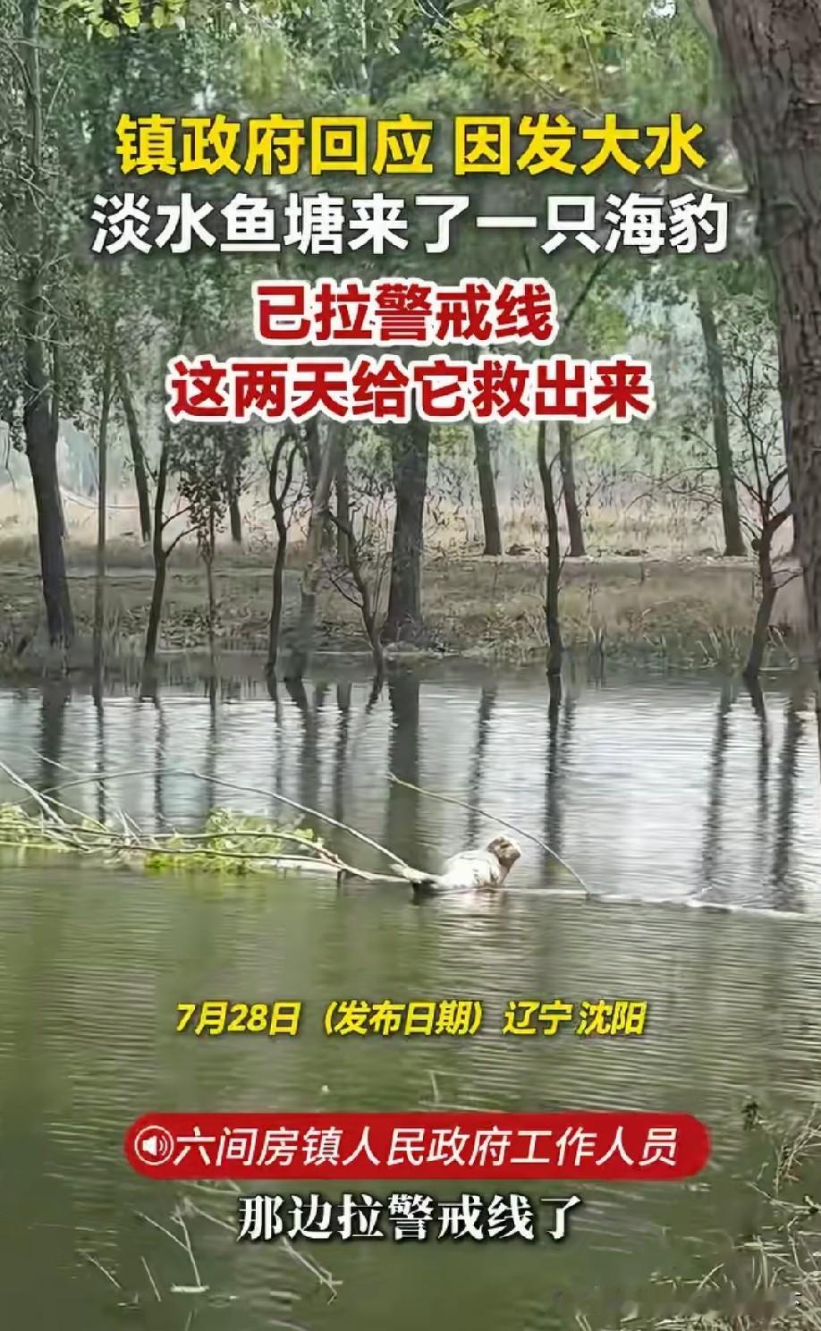 海豹能适应淡水吗[？？？]