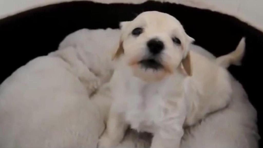 6857319131565764651.jpg?id=0