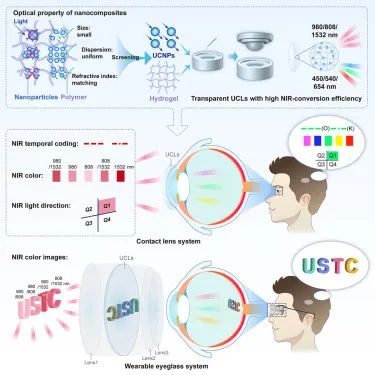 Cell|我国科学家领衔开发出让小鼠和人类在黑暗中也能看见东西的红外隐形眼镜