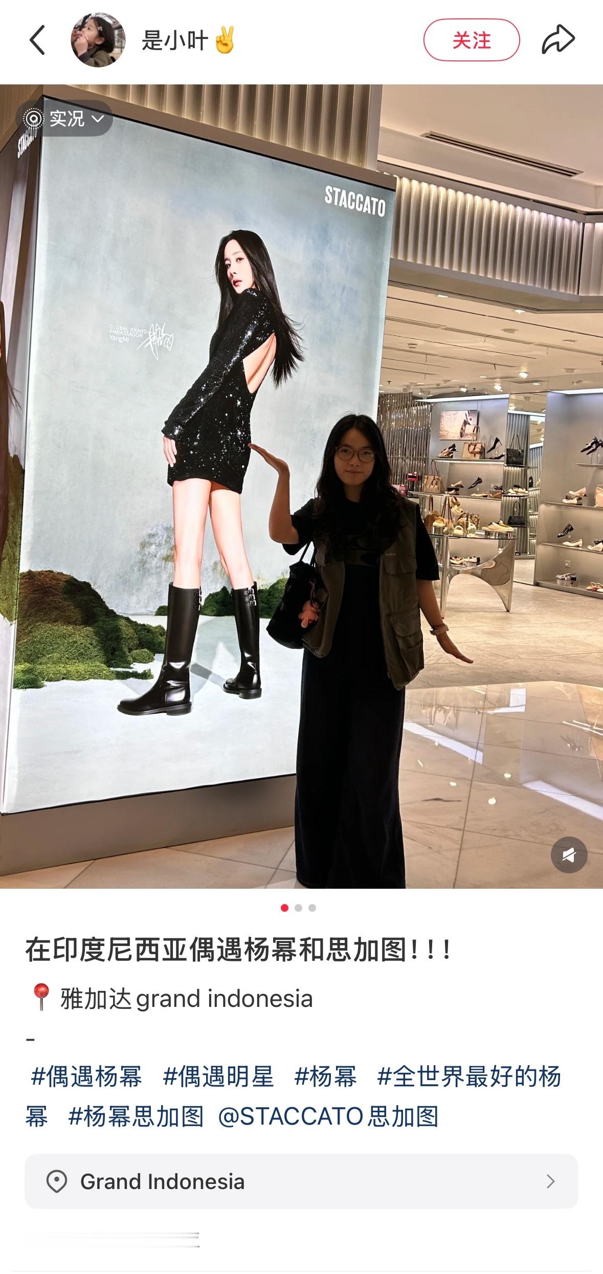 杨幂staccato思加图全球代言人思加图真不错！印度尼西亚也有地广🤩全