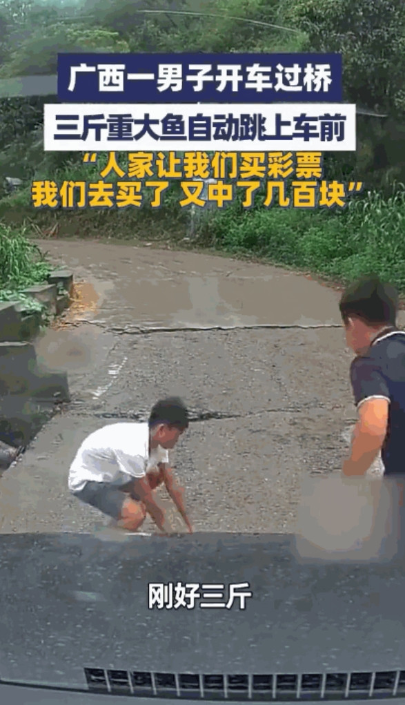 这就是命！广西桂林，一男子过桥遇“拦路鱼”，3斤重活鱼自己跳上车前，男子激动的下