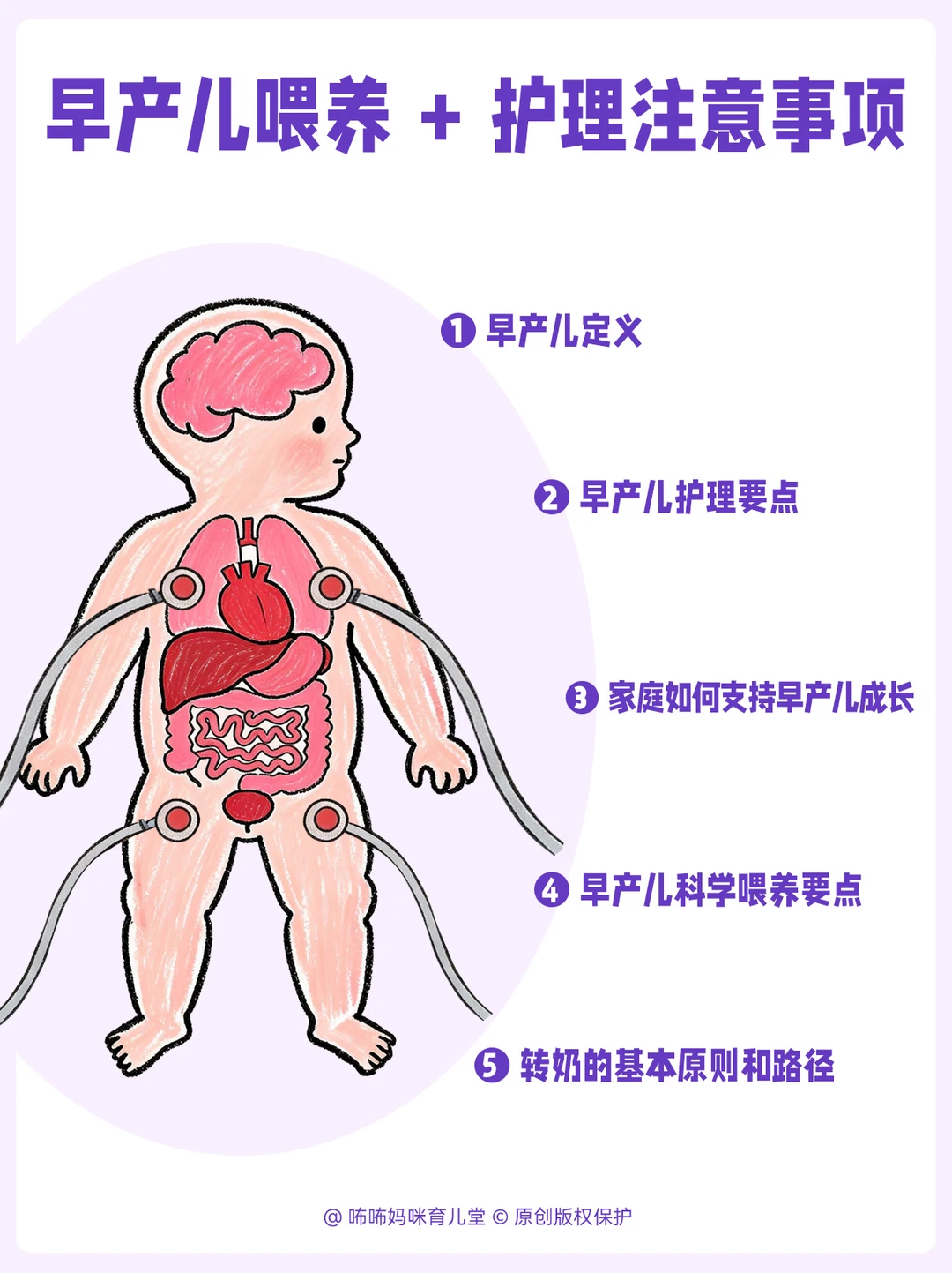 早产宝宝科学养护｜过来人走心喂养干货分享
