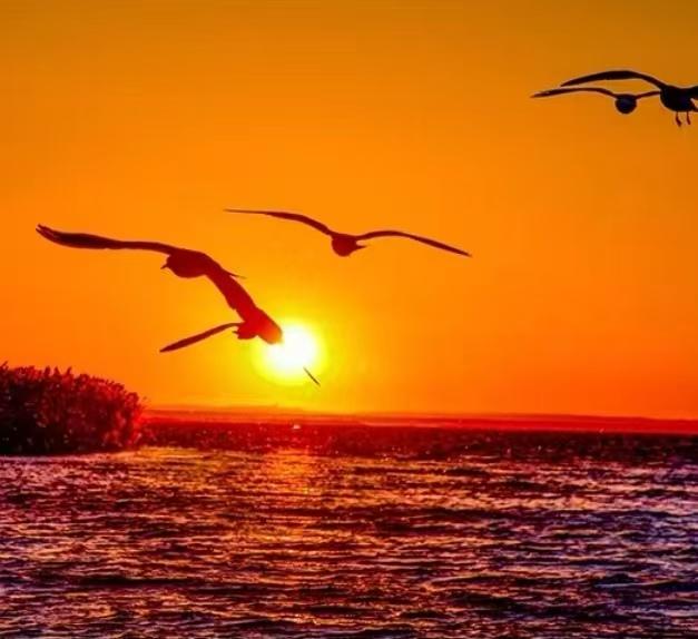 旭日東昇新一天，憧憬未來皆平安。