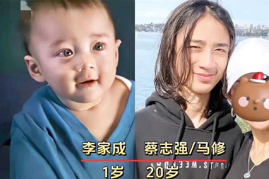 2006年喜剧电影《宝贝计划》演员今昔变化！