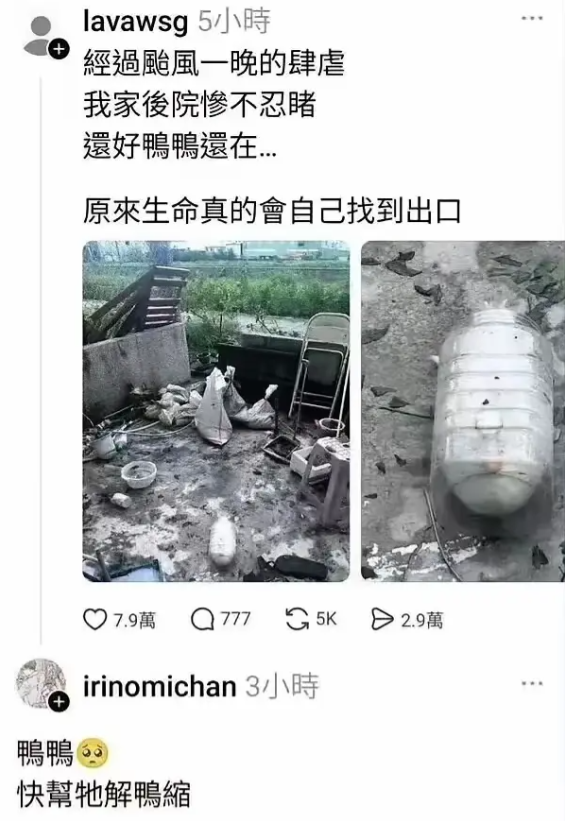 原来台湾省的谐音梗也挺逗的！