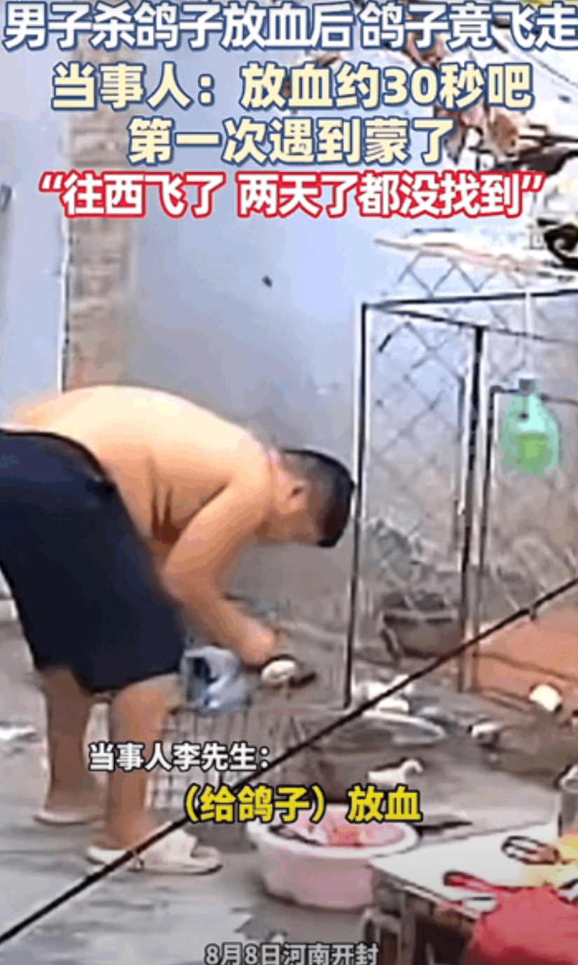 “不可思议！”河南开封，一男子为给媳妇炖汤，在家宰杀鸽子，刚给鸽子放血，完事后把