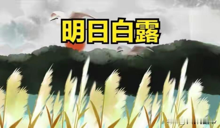 明日白露是“凶日”？提醒中老年：1要吃2要戴忌1样，吃3样2注意，别大意明