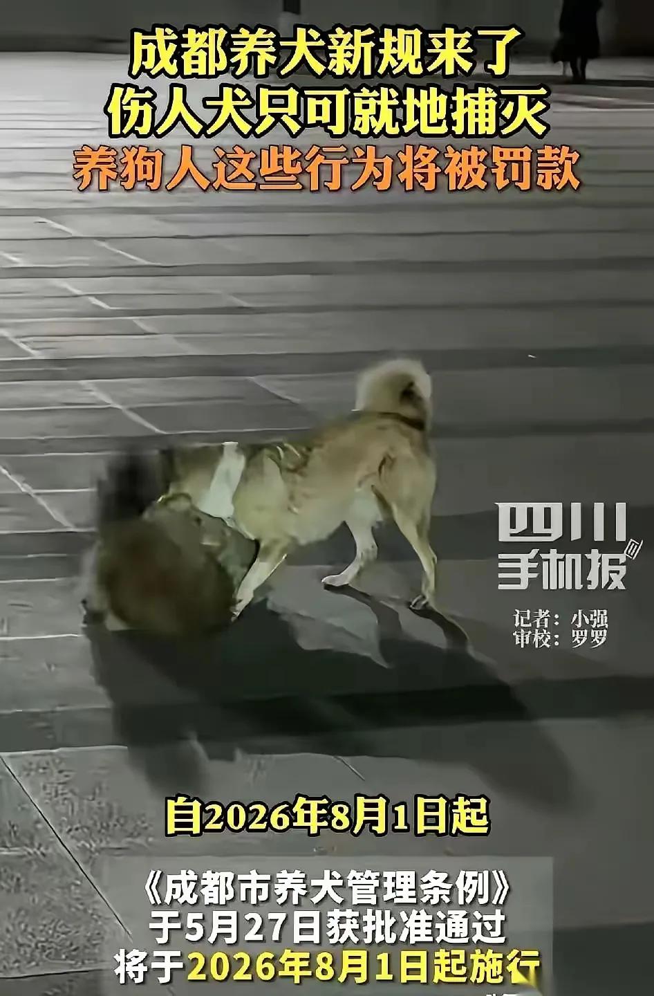 成都养狗的人要哭了，2026年5月27日成都颁布养狗新规，只要发现狗咬人，不管对