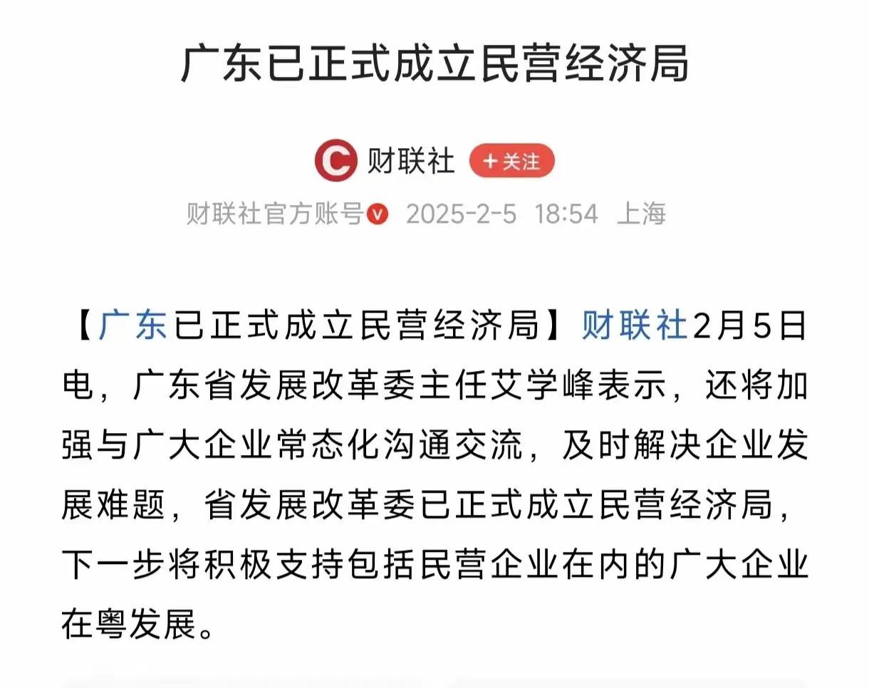 中国民营企业的发展问题，不是支持太少，而恰恰是营商环境太好，导致泥沙俱下，没有达