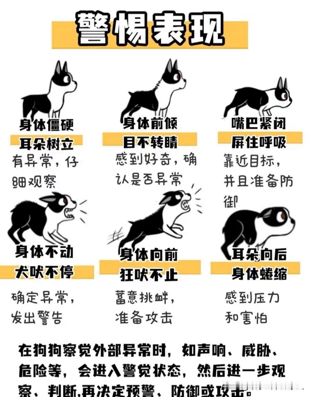 狗子的各种肢体语言你都知道吗