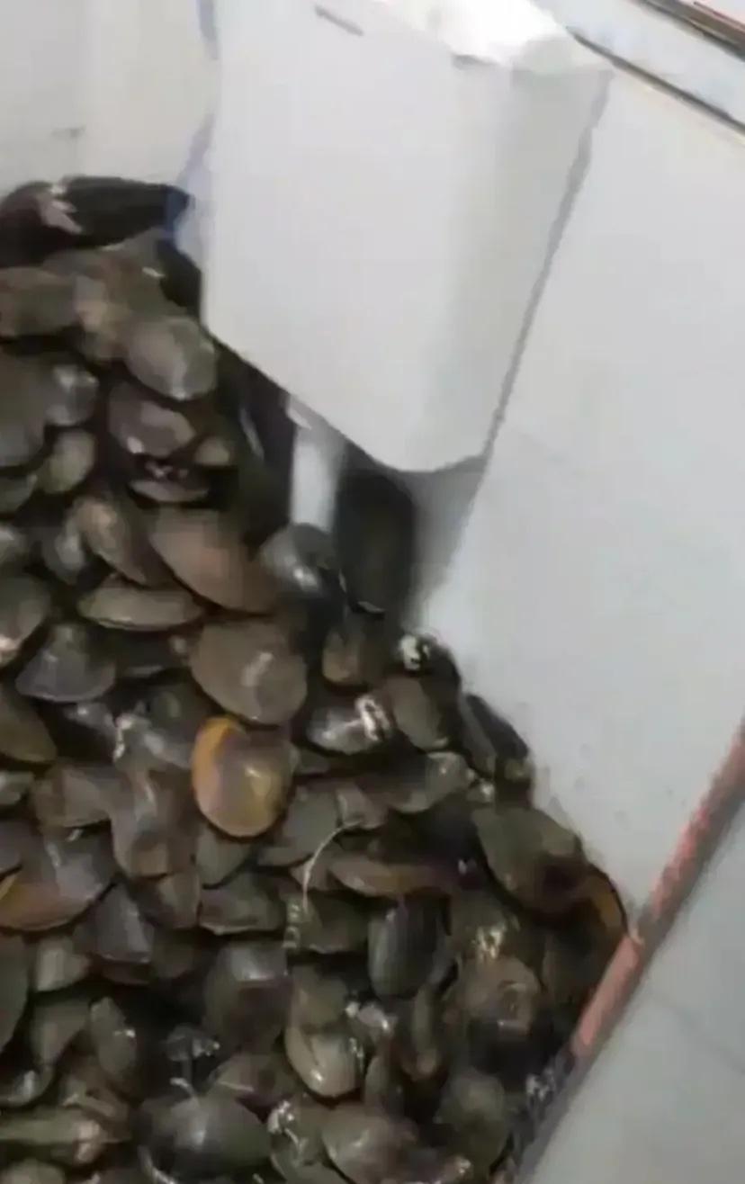 当1.5亿中国人拿起鱼竿时，他们钓的早就不只是鱼了。去年，超四成钓友是35岁以