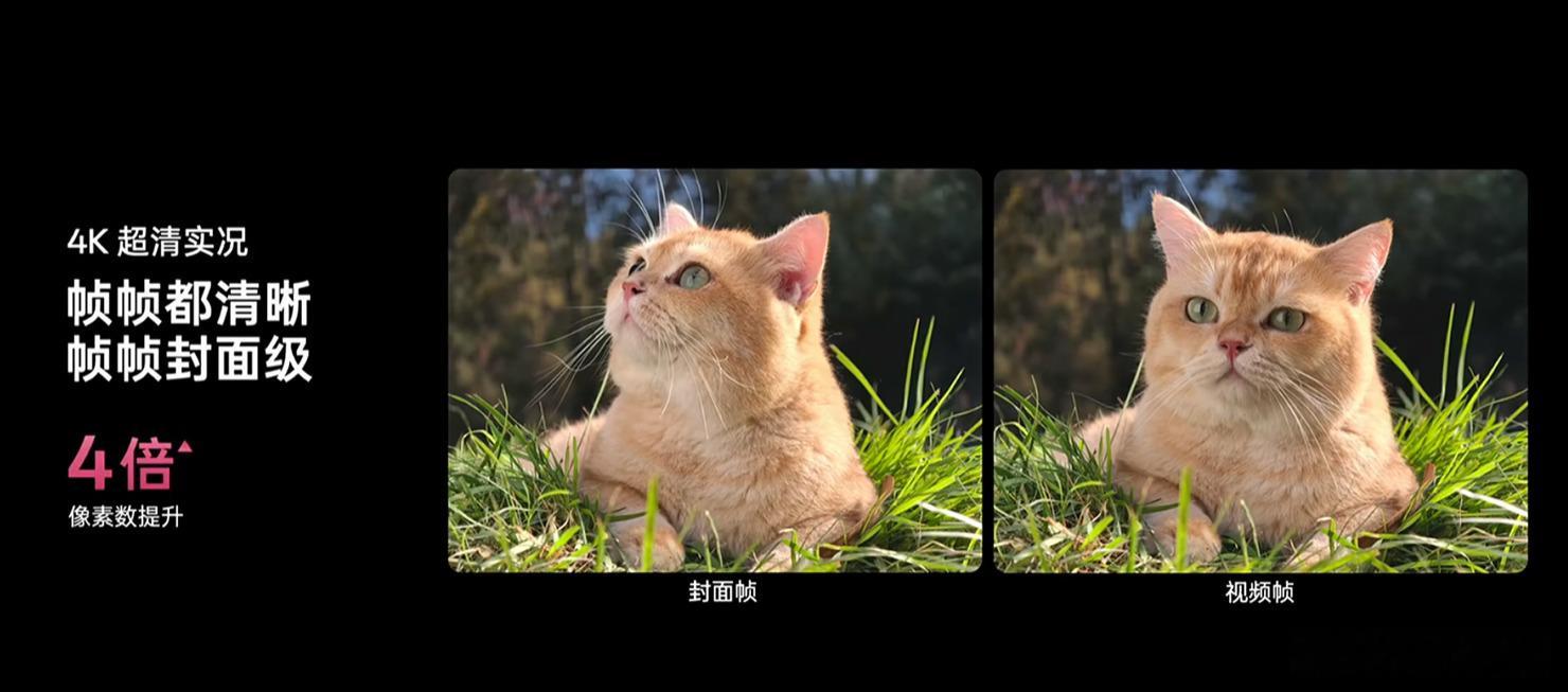 4K超清实况照片，[思考]大家平时拍照会开Live模式么？​​​